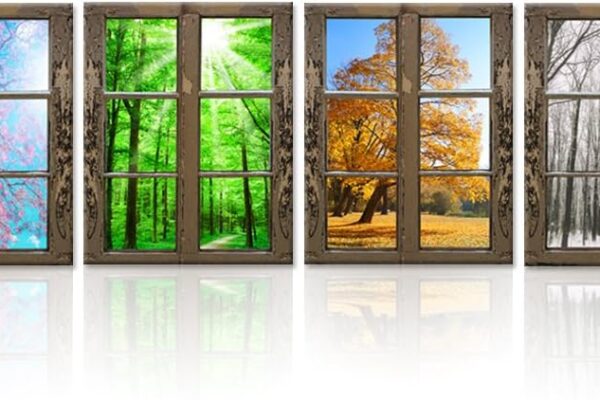 A window with different images of trees and bushes.